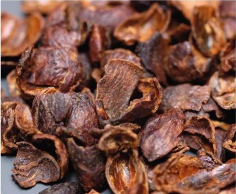Cascara Bio à Infuser : infusion pulpe de café fruitée